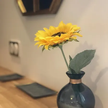 La Céleste, Et Pop Et Chic ! Poitiers