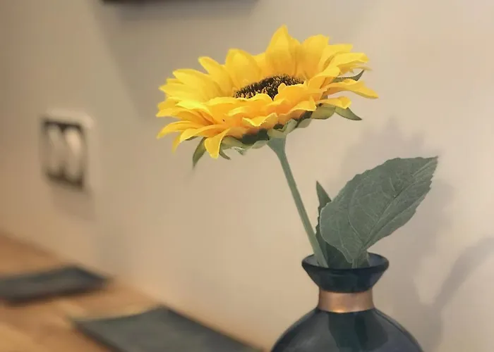 La Céleste, Et Pop Et Chic ! Poitiers